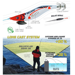 ΚΑΛΑΜΑΡΙΕΡΑ ΓΑΡΙΔΑ DTD BALLISTIC  FULL COLOR EGI